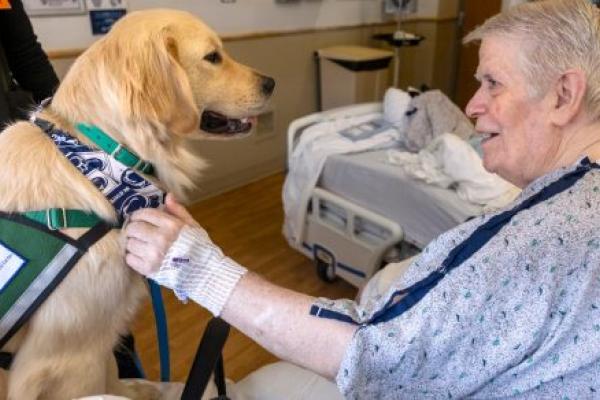 A man in hospital gown pets and smiles at a golden retriever